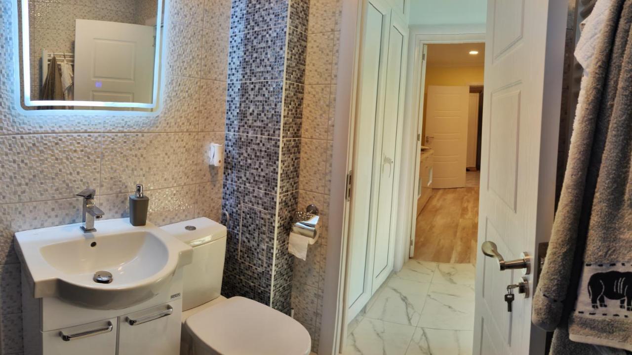 Timisoara Central Apartament *